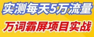 百度万词霸屏实操项目引流课,30天霸屏10万关键词-云帆项目库