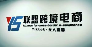 YS联盟·Tiktok无人直播,不出镜不剪辑不拍摄不发货无售后的跨境短视频躺赚玩法-云帆项目库