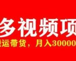 多多带货视频快速50爆款拿带货资格，搬运带货，月入30000【全套脚本+详细玩法】-云帆项目库