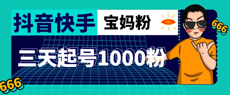 抖音快手三天起号涨粉1000宝妈粉丝的核心方法【详细玩法教程】-云帆项目库