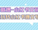 一写就爆-小红书文案课：带你玩转小红收爆文写作（45节课）-云帆项目库