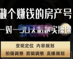 刘广标·同城房产号线上陪跑课,拍摄、剪辑、写文案、直播,做一个具有潜力价值的房产号-云帆项目库