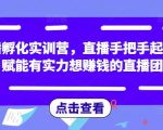 直播孵化实训营，直播手把手起号，赋能有实力想赚钱的直播团队-云帆项目库