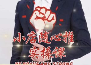 随心推线上课,小店随心推的投放逻辑,投放技巧,快速打标签-云帆项目库