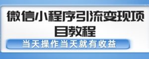 微信小程序引流变现项目教程,当天操作当天就有收益,变现不再是难事-云帆项目库