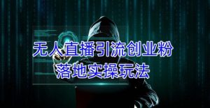 外面收费3980的无人直播引流创业粉落地实操玩法,单日引100+精准创业粉-云帆项目库
