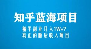 知乎蓝海玩法，躺平副业月入1W+，真正的睡后收入项目（6节视频课）-云帆项目库
