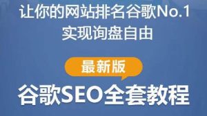 谷歌SEO实战教程：如何让你的网站在谷歌排名第一，内容从入门到高阶，适合个人及团队-云帆项目库