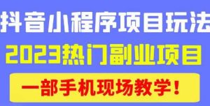 抖音小程序9.0新技巧,2023热门副业项目,动动手指轻松变现-云帆项目库