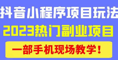 抖音小程序9.0新技巧，2023热门副业项目，动动手指轻松变现-云帆项目库