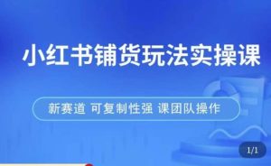 小红书铺货玩法实操课，流量大，竞争小，非常好做，新赛道，可复制性强，可团队操作-云帆项目库