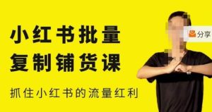 张宾·小红书批量复制铺货课,小红书0-1快速起号变现玩法,抓住小红书的流量红利(更新2023年3月)-云帆项目库