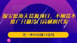 淘宝蓝海无货源项目,不囤货不推广只做冷门高利润代发,花一半时间赚10倍钱-云帆项目库