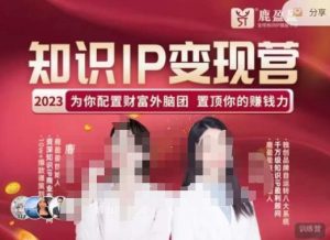 鹿盈盈-知识IP变现实操营,普通人可复制的知识产品落地实操课,带你打通知识IP变现底层逻辑-云帆项目库