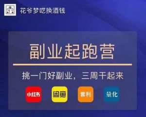 花爷-副业起跑营第2期，挑一门好副业，三周干起来（闲鱼｜小红书｜量化｜套利）-云帆项目库