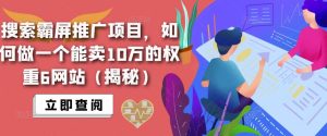 搜索霸屏推广项目,如何做一个能卖10万的权重6网站(揭秘)-云帆项目库