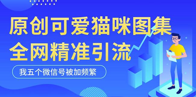 黑科技纯原创可爱猫咪图片，全网精准引流，实操5个VX号被加频繁-云帆项目库