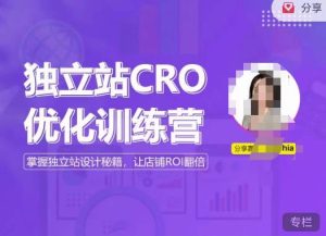 独立站CRO优化训练营,掌握独立站设计秘籍,打造高转化的独立站,让店铺ROI翻倍-云帆项目库