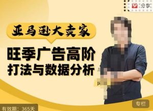 阿甘·亚马逊大卖家广告高阶打法与数据分析,走出传统广告误区;揭秘大卖惯用打法;数据驱动广告决策-云帆项目库