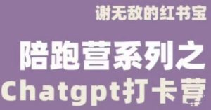 谢无敌ChatGPT打卡营,教你更好地使用ChatGPT来提高工作效率-云帆项目库