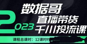 数据哥2023直播电商巨量千川付费投流实操课,快速掌握直播带货运营投放策略-云帆项目库