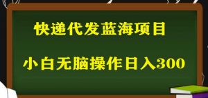 2023最新蓝海快递代发项目，小白零成本照抄也能日入300+-云帆项目库