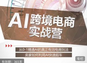 白龙老师·AI跨境电商实战营:从0-1精通Al的真正有效电商玩法,卖家如何利用Al快速超车-云帆项目库