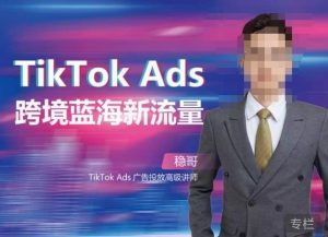 稳哥·如何投出高ROI的TikTok广告，开拓独立站卖家流量新蓝海-云帆项目库