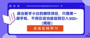 适合新手小白的搬砖项目，只需要一部手机、不用引流也能做到日入300+【揭秘】-云帆项目库