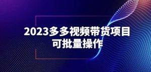 2023多多视频带货项目，可批量操作【保姆级教学】【揭秘】-云帆项目库