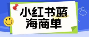 价值2980的小红书商单项目暴力起号玩法,一单收益200-300(可批量放大)-云帆项目库