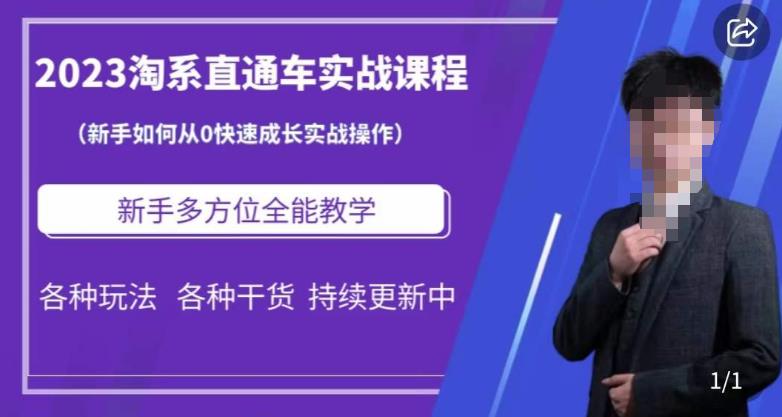 2023淘系直通车保姆式运营讲解，新手如何从0快速成长实战操作，新手多方位全能教学-云帆项目库