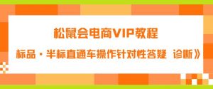 松鼠会电商VIP教程：松鼠《付费推广标品·半标直通车操作针对性答疑&诊断》-云帆项目库