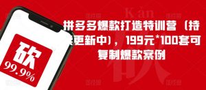 拼多多爆款打造特训营(持续更新中),199元*100套可复制爆款案例-云帆项目库