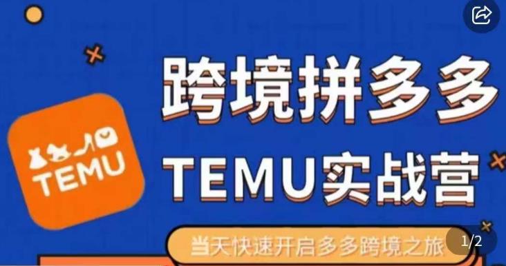 大鹏出海·拼多多跨境temu运营指导，开店注册+选品+核价上架，日出千单实战课-云帆项目库