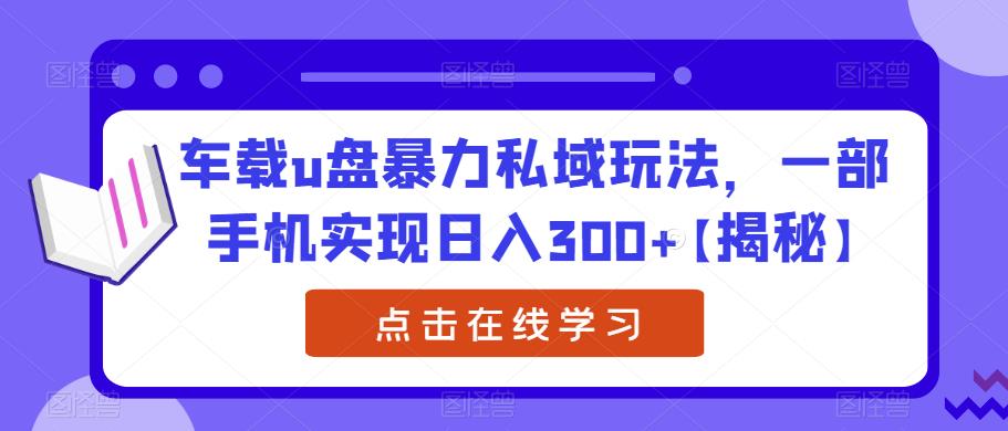 车载u盘暴力私域玩法，一部手机实现日入300+【揭秘】-云帆项目库