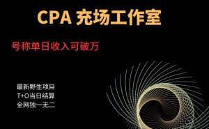 cpa充场工作室,号称单日收入10000+(揭秘)-云帆项目库