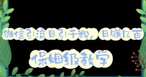 微信互推圈半自动引流方案,矩阵操作日引千人思路【详细视频教程】-云帆项目库