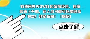 有道词典WOW社区蓝海项目,目前高速上升期,新人小白都可以换取高收益!赶紧布局!【揭秘】-云帆项目库