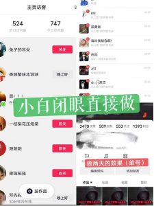 一天做完别一辈子的视频制作最近很火的《1000个野路子信息差》100%过原创【揭秘】-云帆项目库