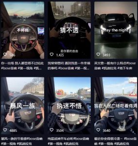 抖音开车视频项目,0基础操作,每天五分钟,月入1W+【揭秘】-云帆项目库