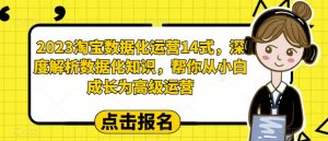 2023淘宝数据化运营14式,深度解析数据化知识,帮你从小白成长为高级运营-云帆项目库