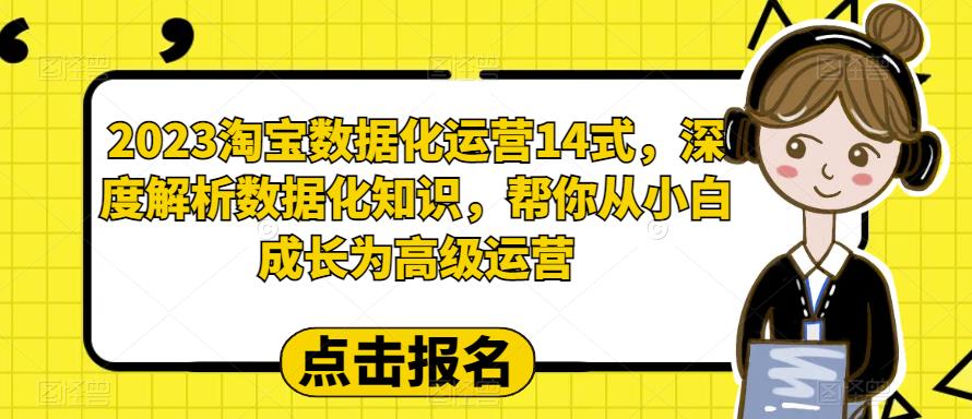 2023淘宝数据化运营14式，深度解析数据化知识，帮你从小白成长为高级运营-云帆项目库