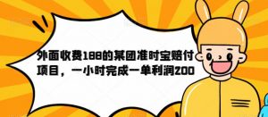外面收费188的美团准时宝赔付项目,一小时完成一单利润200【仅揭秘】-云帆项目库
