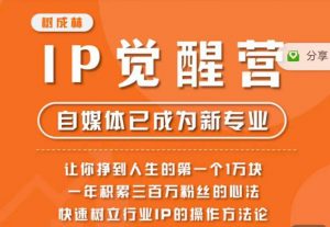 树成林·IP觉醒营，快速树立行业IP的操作方法论，让你赚到人生的第一个1万块（更新）-云帆项目库