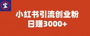宝哥小红书引流创业粉,日赚3000+【揭秘】-云帆项目库