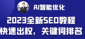 2023最新网站AI智能优化SEO教程,简单快速出权重,AI自动写文章+AI绘画配图-云帆项目库