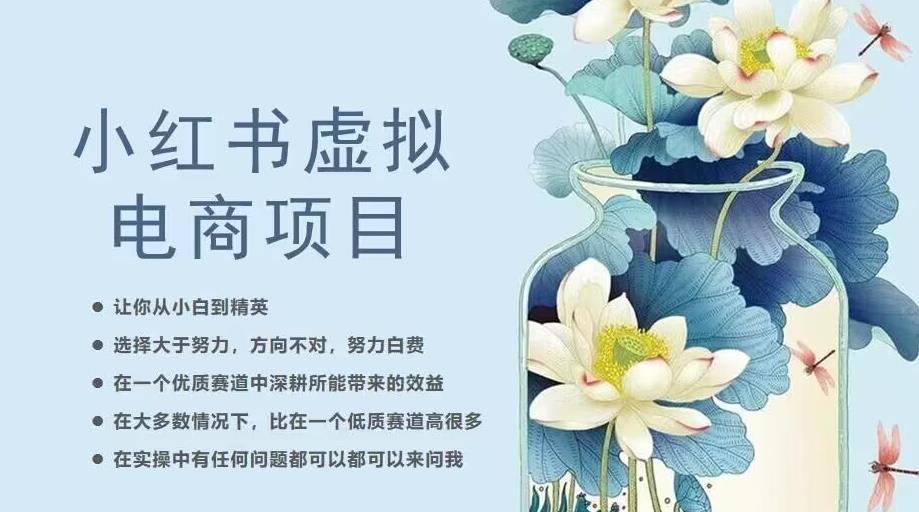 小红书虚拟电商从0到1，让你从小白到精英（20节实操课程）-云帆项目库