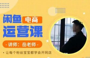 岳老师·闲鱼电商运营课,让每个粉丝宝宝都学会开网店-云帆项目库