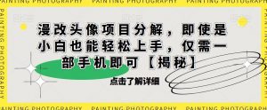 漫改头像项目分解，即使是小白也能轻松上手，仅需一部手机即可【揭秘】-云帆项目库